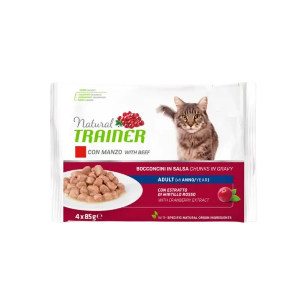 bocconcini-flowcat-gatto-2