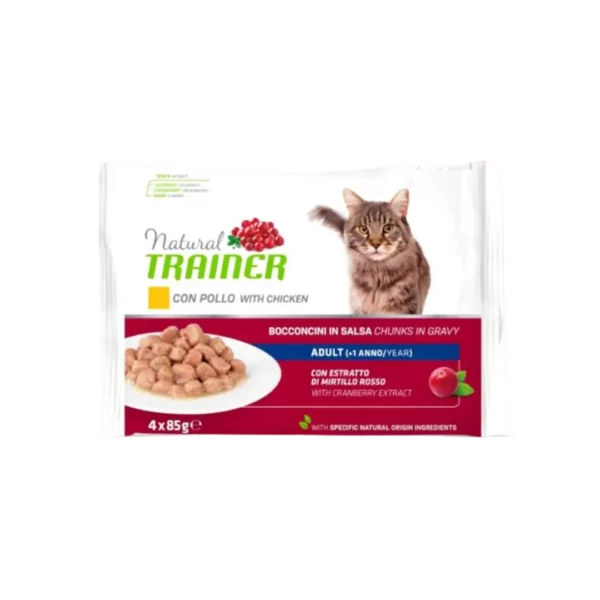 bocconcini-flowcat-gatto-3