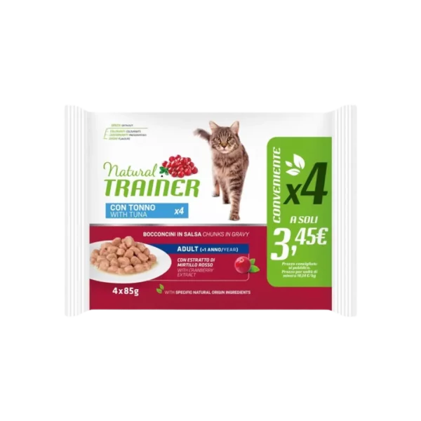 bocconcini-flowcat-gatto-4