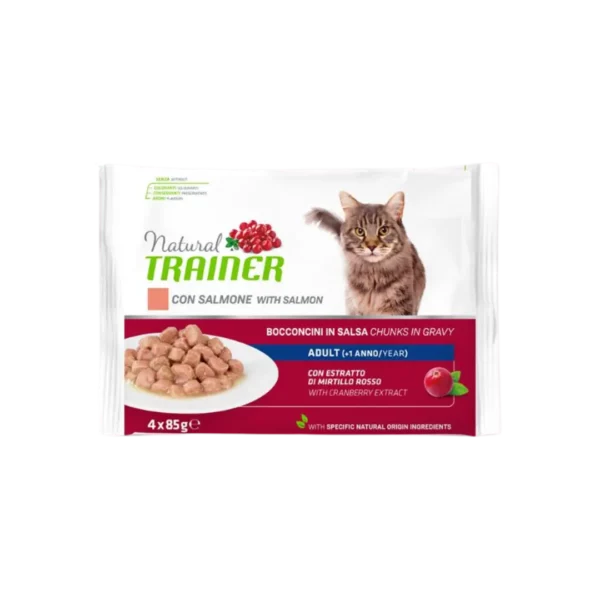 bocconcini-flowcat-gatto-5
