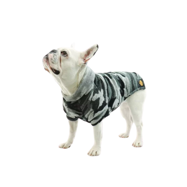 Cappotto-di-maglia-per-bulldog-francesecarlino