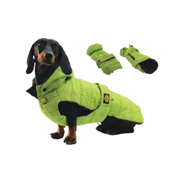Cappotto-impermeabile-trapuntato-con-cappuccio-rimovibile-bassotto